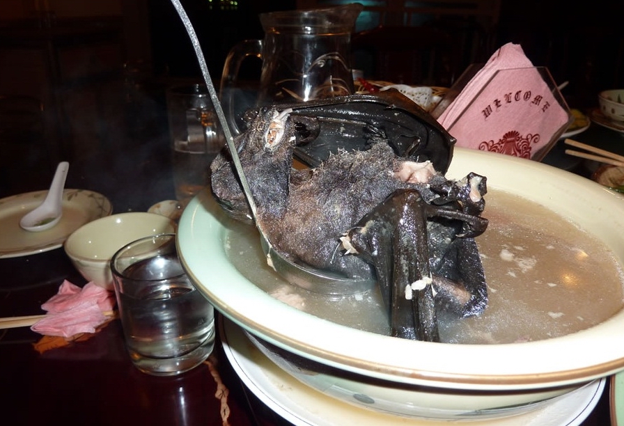 Суп из летучих мышей 10-opasnyh-ugoshhenij-4.jpg