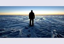 3 веские причины посетить Антарктиду