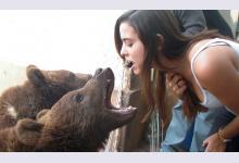 6 самых нетривиальных зоопарков мира