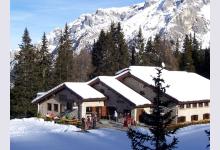 Лучшие горнолыжные альпийские курорты