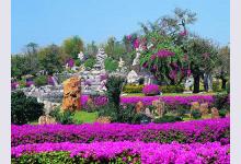 Популярные парки Таиланда: национальные, морские и исторические